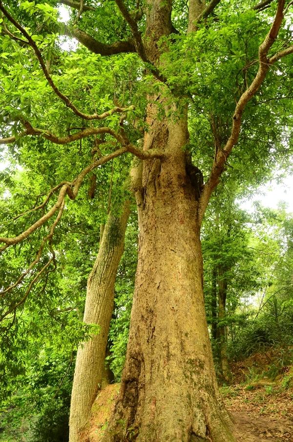 生物多样性20.jpg