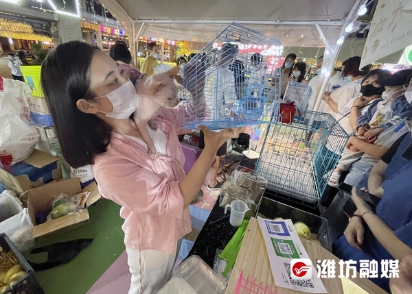 罗璐正在夜市上忙碌着。