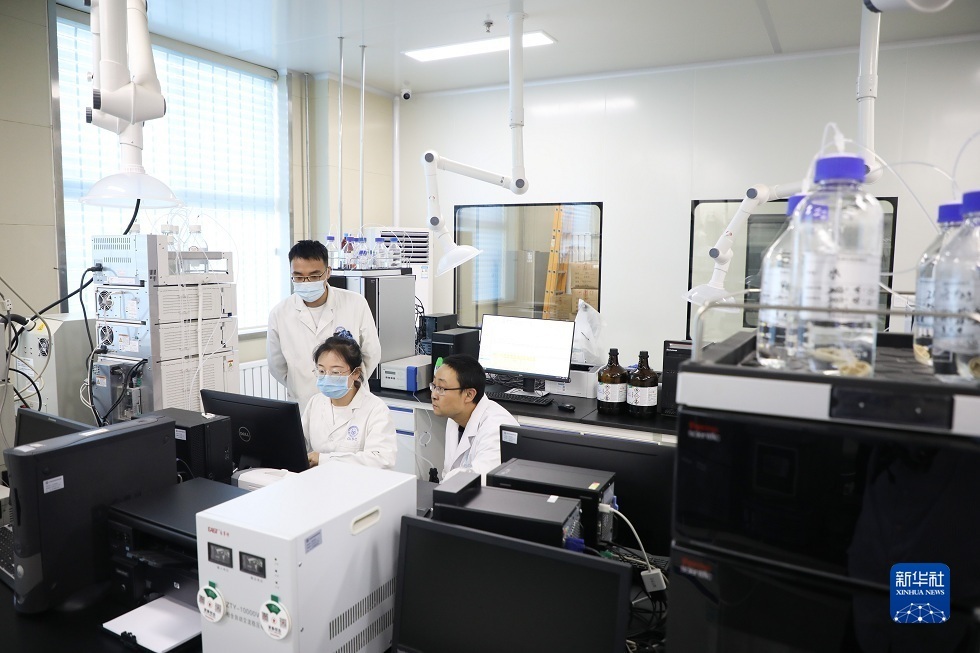6月10日，在甘肃省药品检验研究院陇西分院仪器室，技术人员处理中药材检验数据。新华社记者 马希平 摄