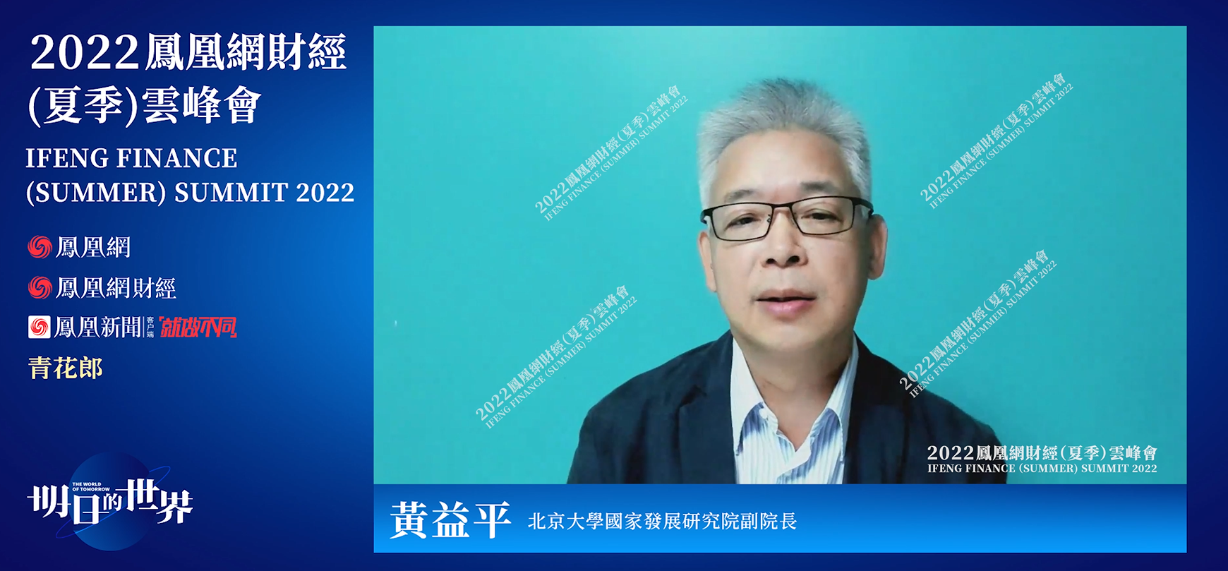 北京大学国家发展研究院副院长 黄益平
