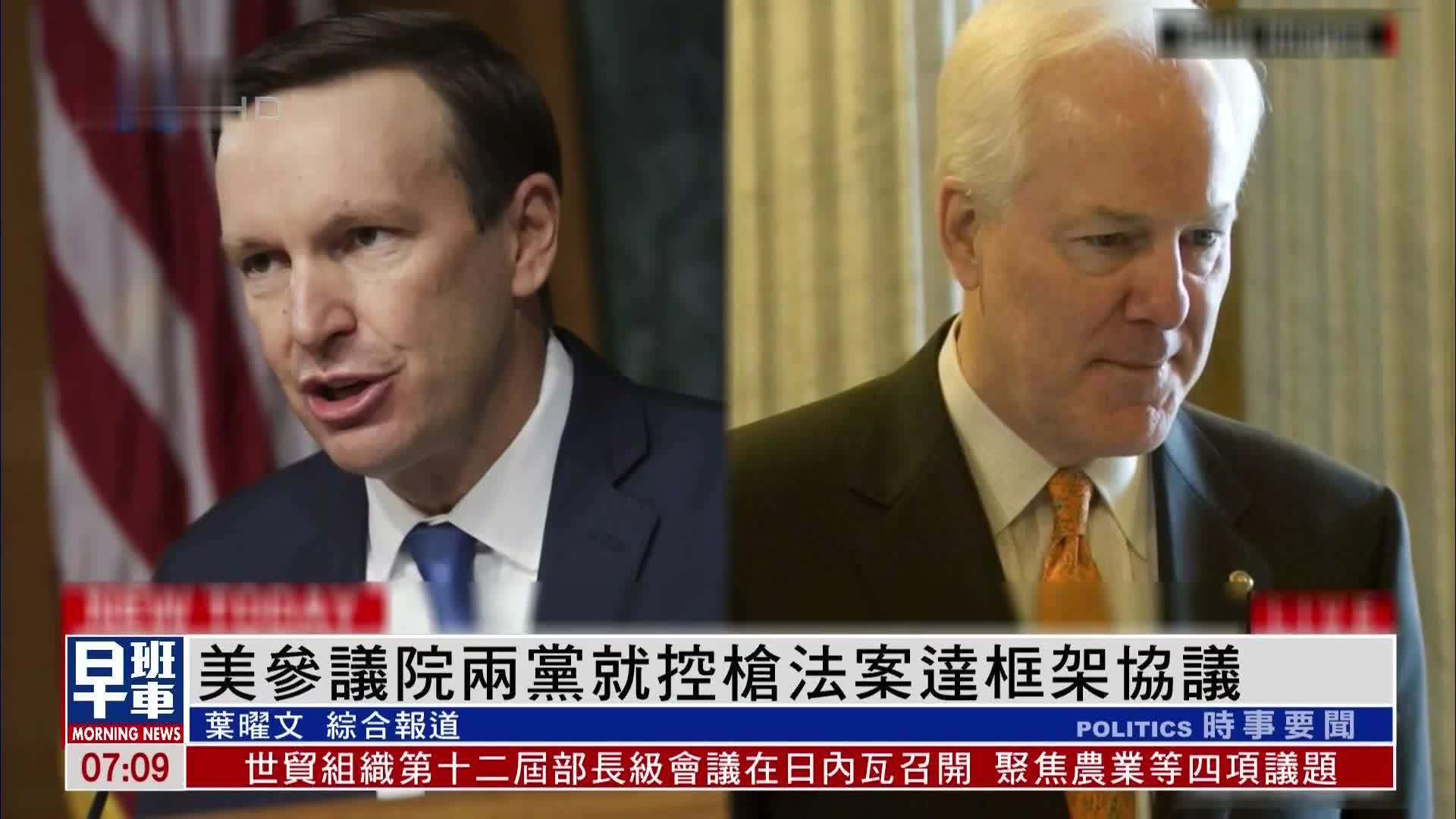 美国参议院两党就控枪法案达框架协议