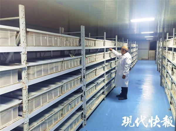 △现代化的豆丹育种中心