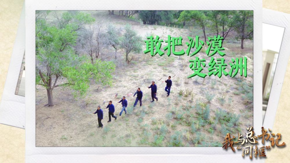 我与总书记“同框”丨敢把沙漠变绿洲