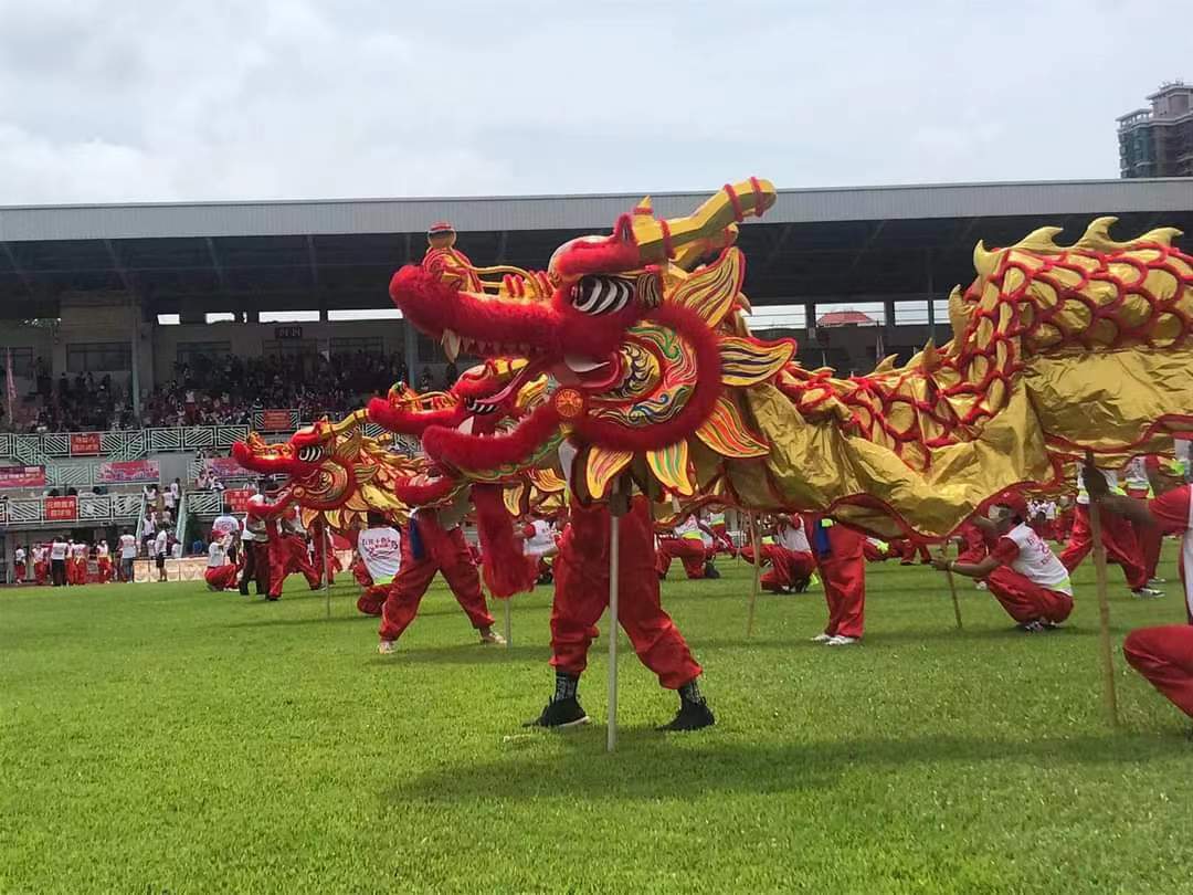 图说：五光十色祥龙庆回归