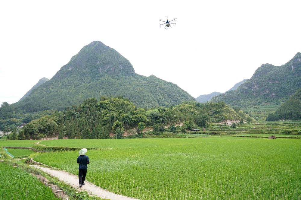 新华全媒我们的田野我和我的伙计