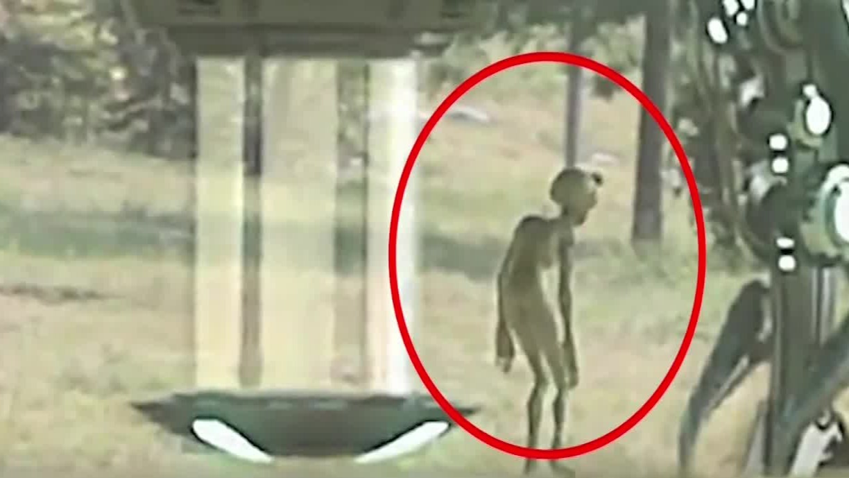 2012年燕郊树林UFO事件，目击者拍摄的视频中存在哪些漏洞？