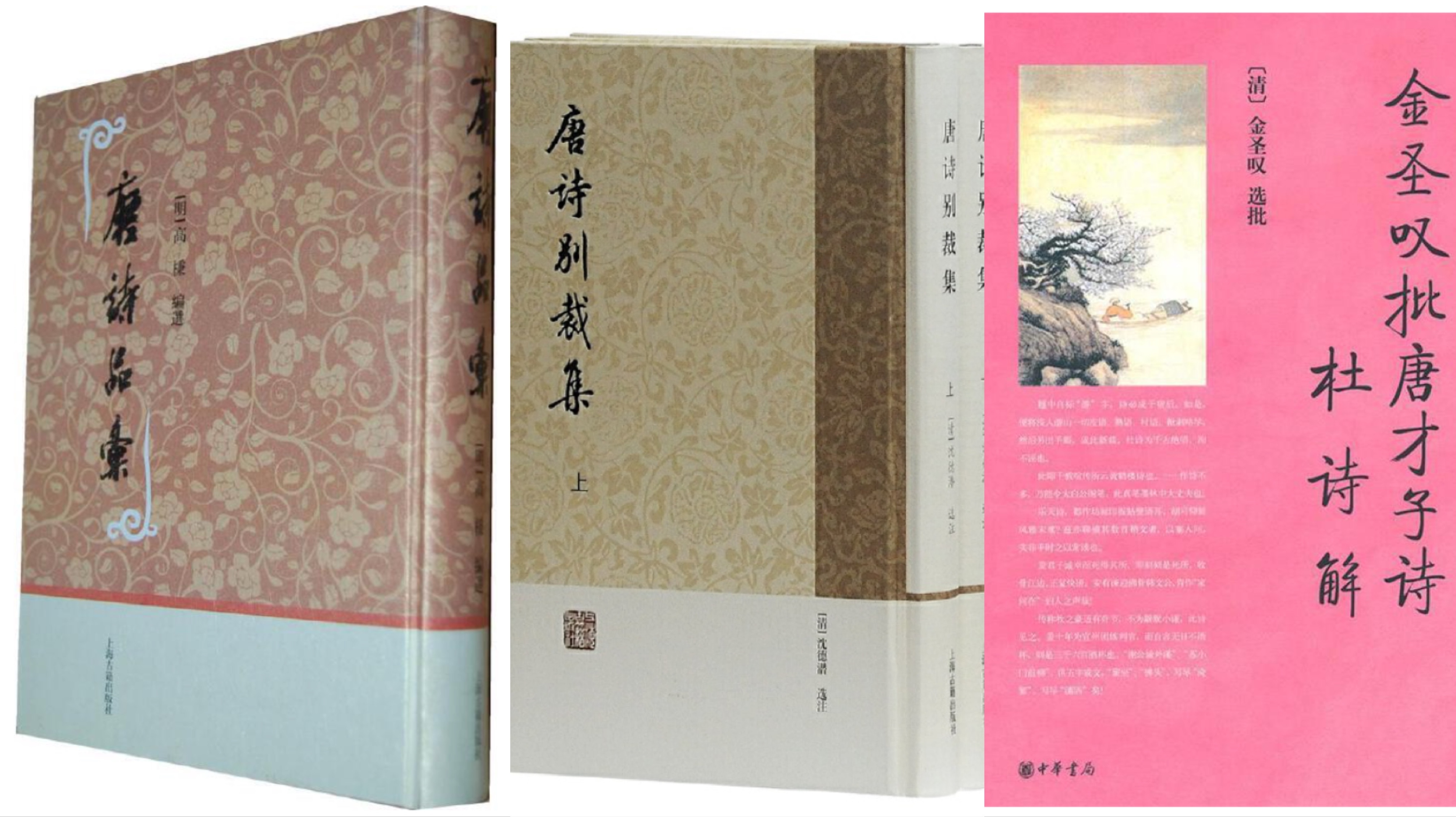 中国历代都有唐诗选本，其中不乏经典。清代蘅塘退士编写的《唐诗三百首》凝练了前代的经验，并在唐诗选录上更贴合现代人对唐诗的审美趣味。