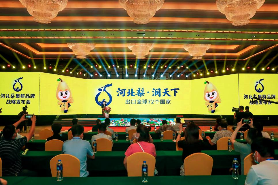 河北梨&middot;润天下！河北梨集群品牌正式发布！