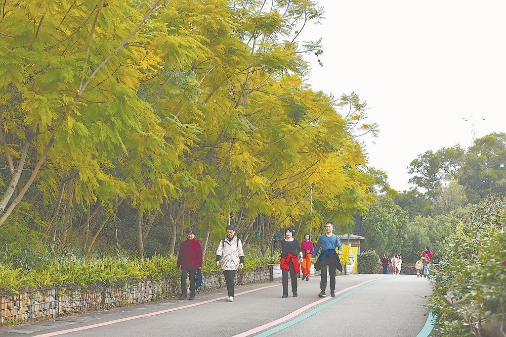 市民在郊野公园健步走。
