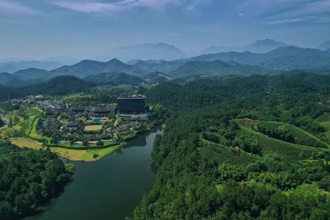 隐入竹林,在安吉的自在生活_凤凰网旅游_凤凰网