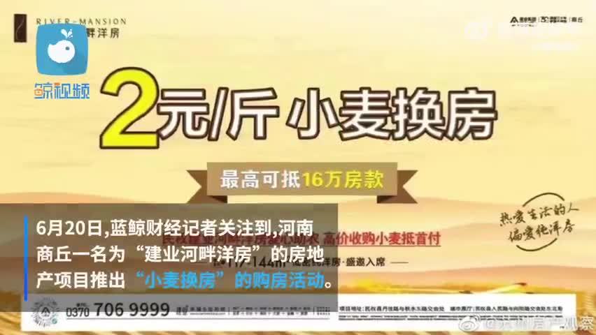 河南一楼盘推出小麦换房活动：2元一斤，最高可抵16万元