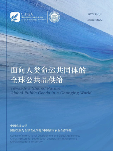如何推动高质量全球发展？ 《面向人类命运共同体的全球公共品供给》报告出炉 