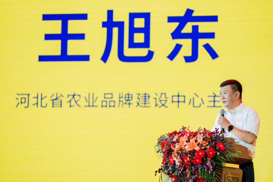 河北梨&middot;润天下！河北梨集群品牌正式发布！