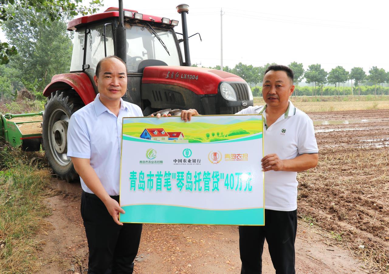 你托我管农行贷款——青岛市发放首笔“琴岛&middot;托管贷”