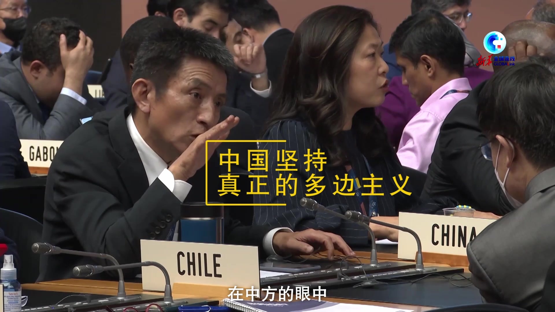 中国常驻世贸组织代表李成钢：世贸组织第12届部长级会议对维护多边主义具有重要意义