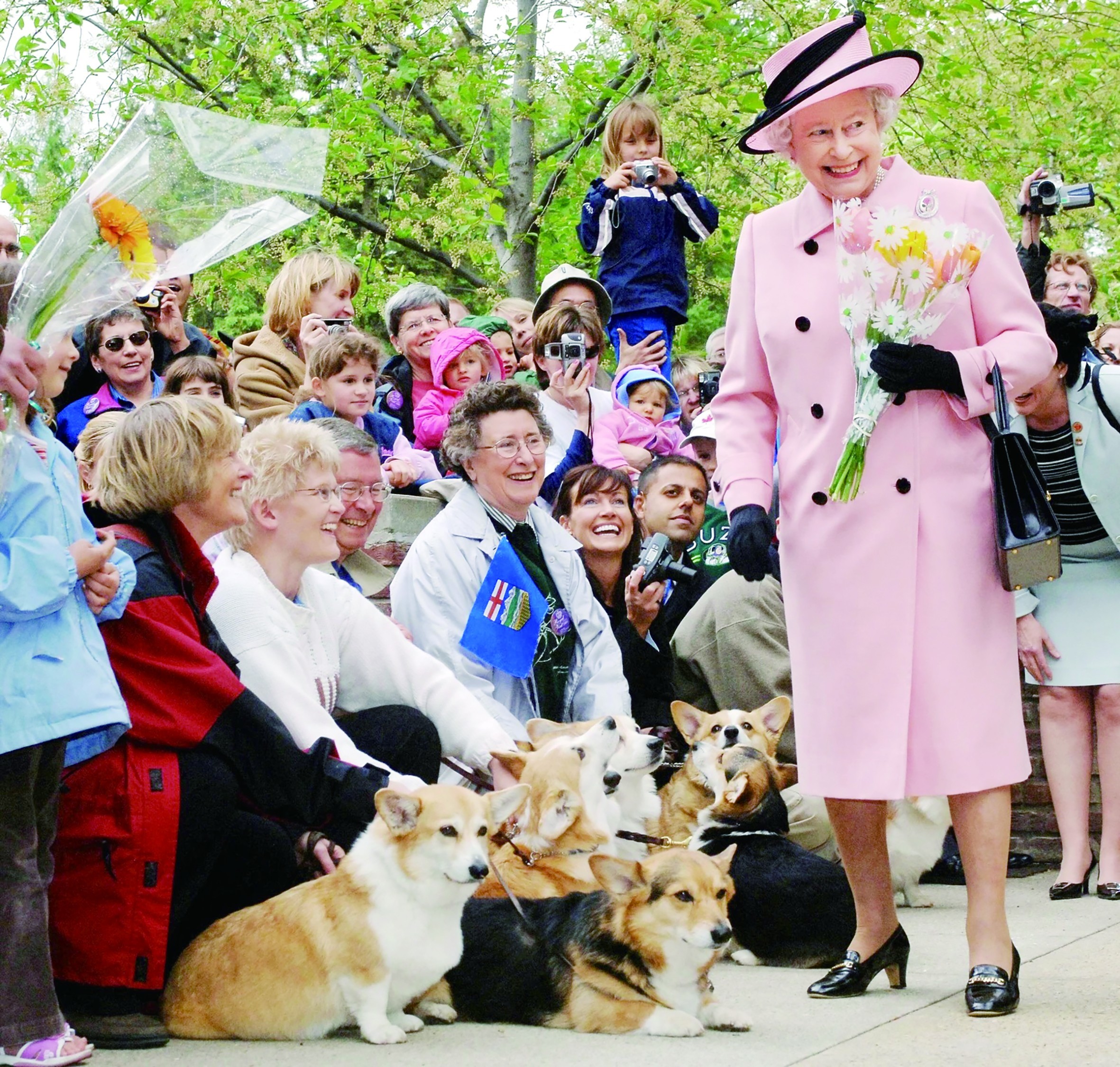 柯基犬在英国受宠几十年”