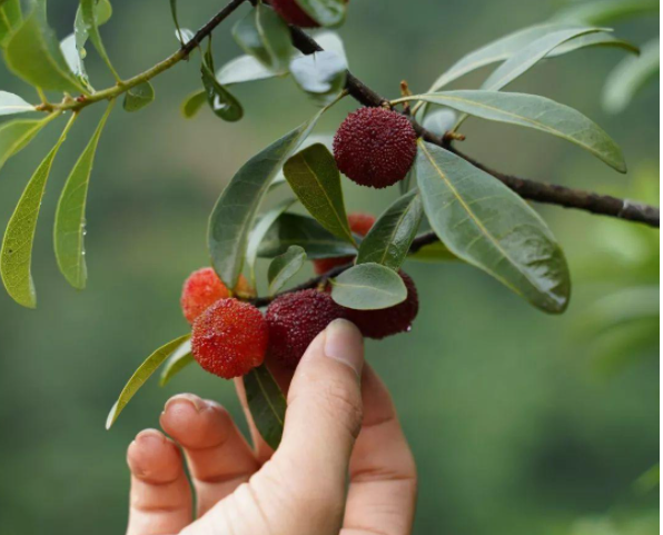 小心！浙江一医院2天接收10多例 3人不幸瘫痪