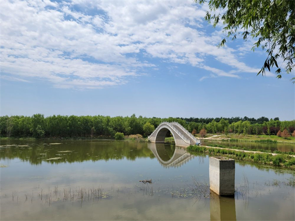 在濟南市槐蔭區玉清湖街道睦裡莊,小清河兩岸綠蔭夾岸,水草豐茂,景色