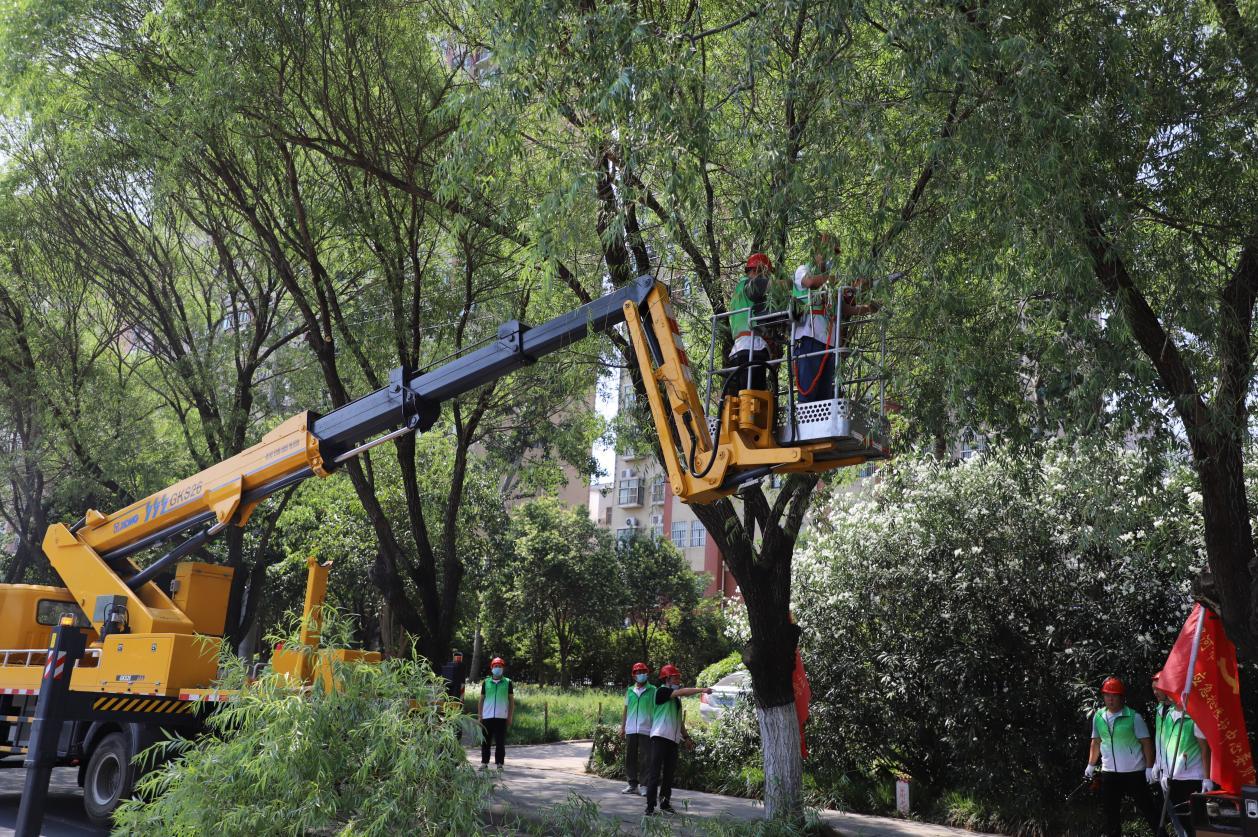 园林人员在高空修剪树木断枝