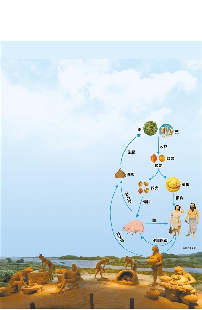 新石器时代中国北方 可持续的集约化粟作农业系统 秦安大地湾遗址人类生活场景复原