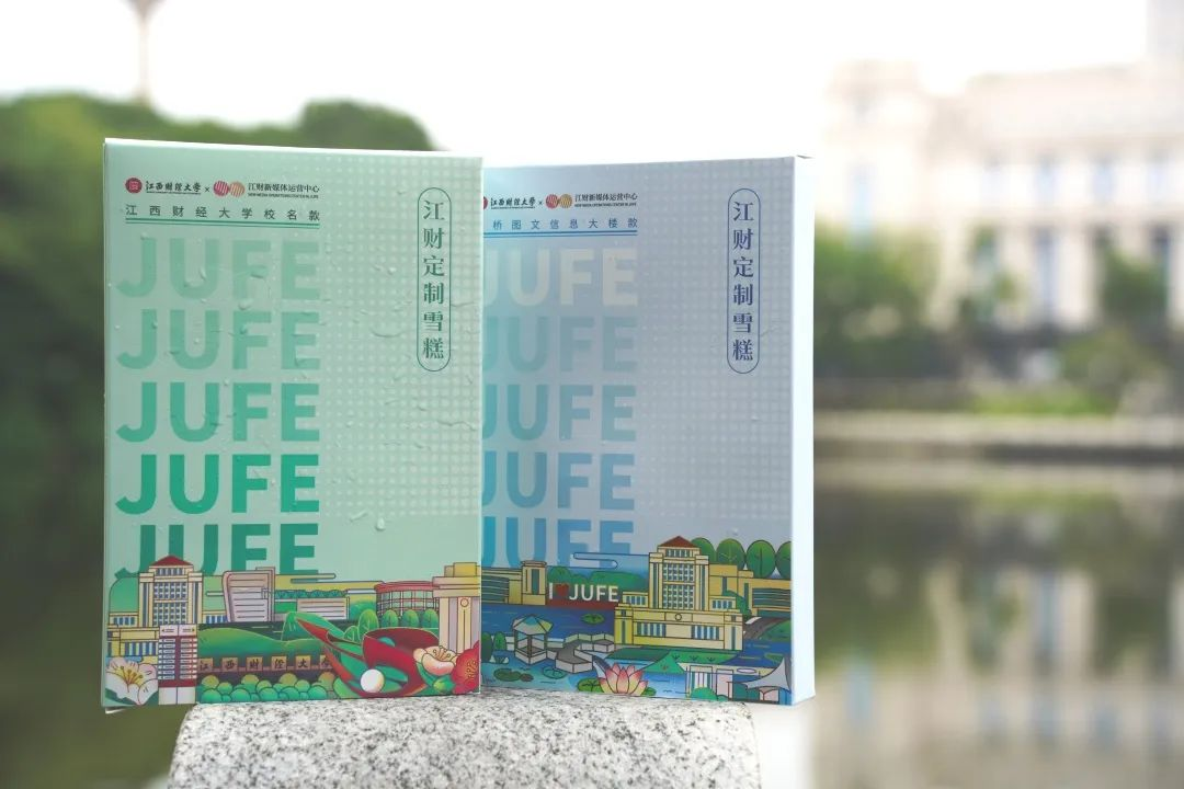 江西财大定制版创意雪糕来了