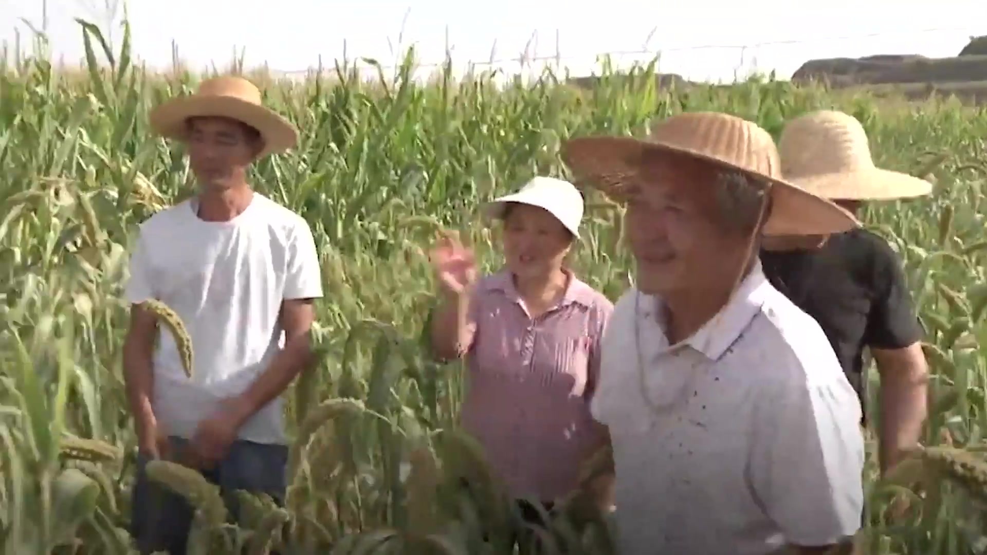 践行嘱托十年间｜把屁股端端地坐在老百姓的这一面