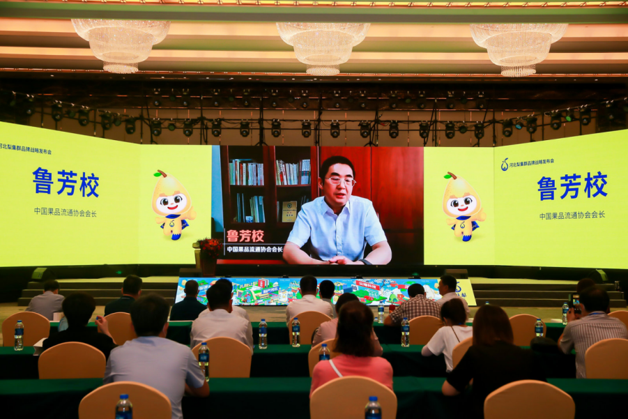 河北梨&middot;润天下！河北梨集群品牌正式发布！