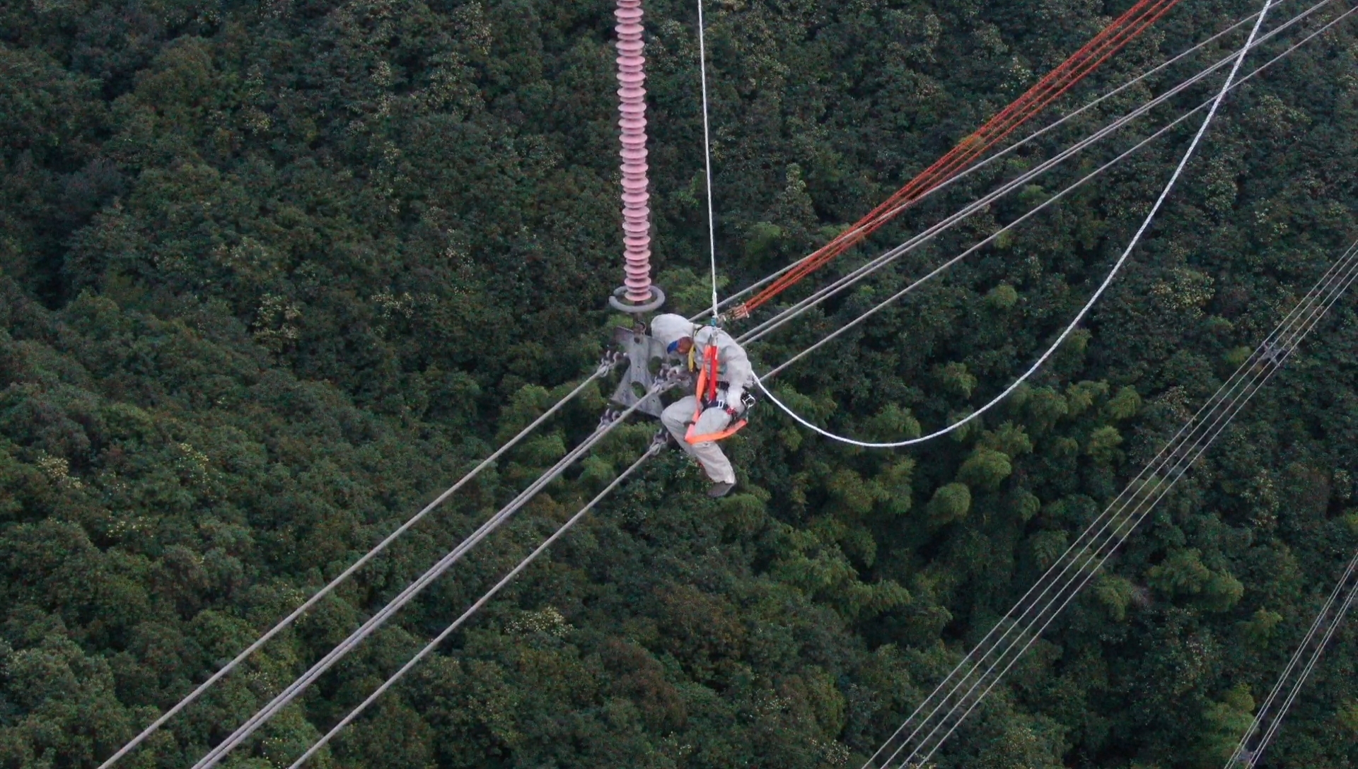 宁波:电力人员高空纵身“荡”入500千伏线路电场消隐患