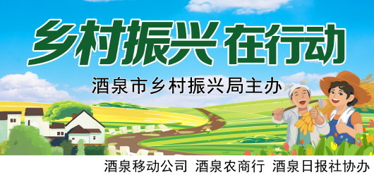 土地生“金”富农家 肃州瓜菜产业惊起一片“钱”途