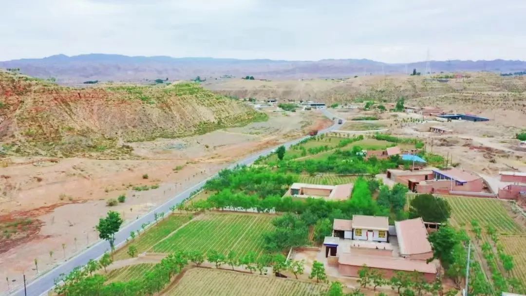 白银平川拓展“绿色版图” 新增造林18000亩