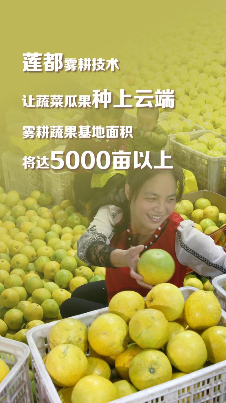 念好“生态经” 看丽水如何点绿成“金”!