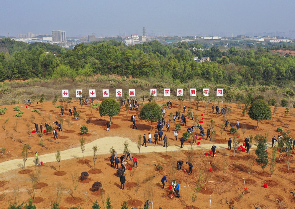 3月20日，湖南干部群众在长株潭城市群“绿心”地区植树。受访者供图