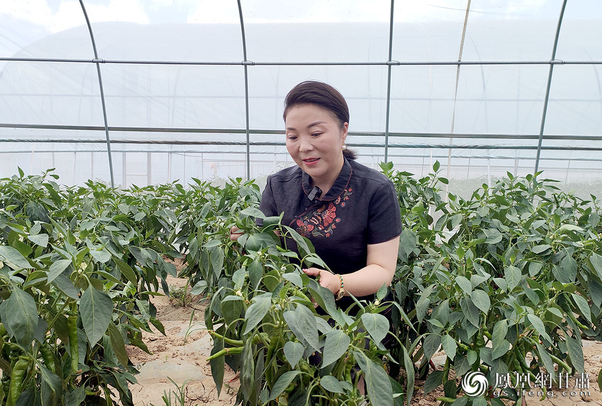 便捷的交通让王红芮对发展农业产业更有信心 马斌 摄