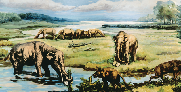 注：巨犀动物群生存环境复原图。