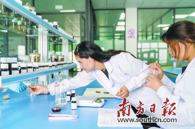 西藏粤林产业园域之香植物提取实验室里，工作人员在做实验