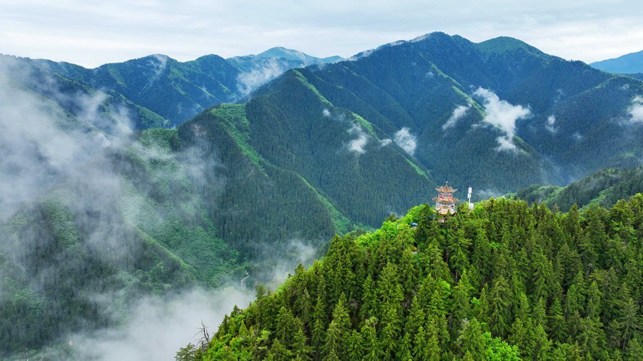 雨后兴隆山云烟袅袅山含黛