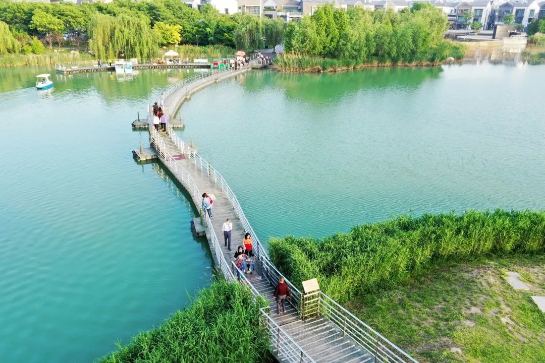 济宁高新区把生态融合的理念融入城市建设之中,初步形成以蓼河湿地