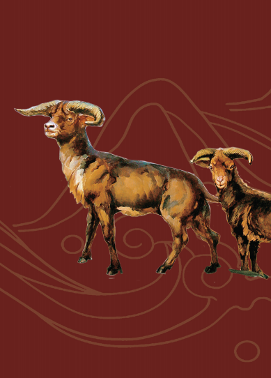 临夏灿烂文化系列画册之临夏和政古生物化石