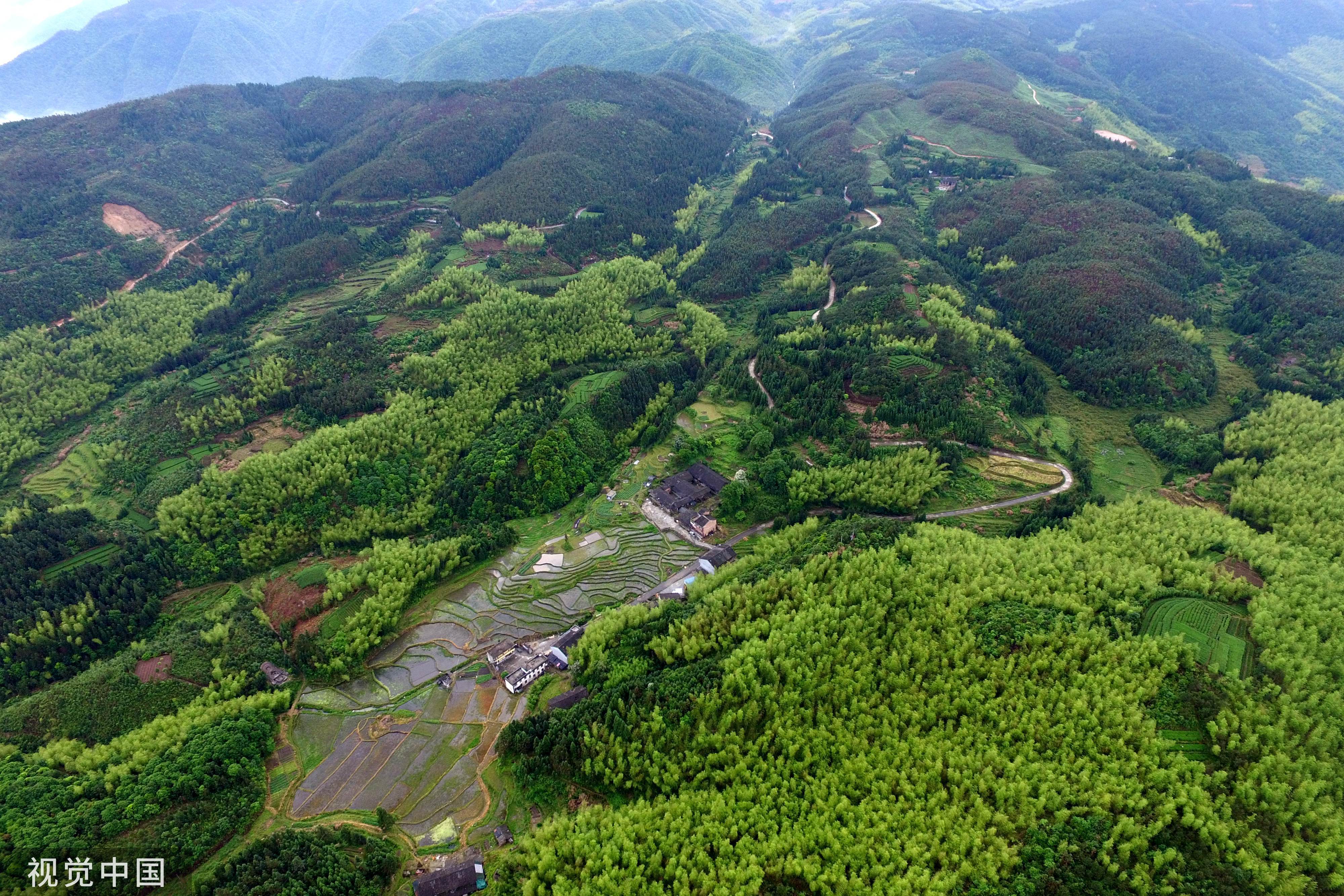 福建林业改革发展再出发 | 让绿水青山永远成为福建的骄傲__凤凰网