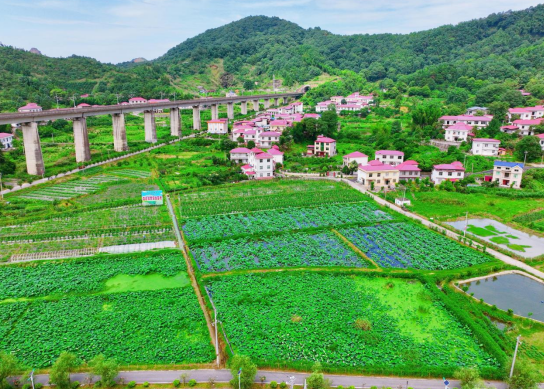 萍鄉安源區夏日鄉村入畫來