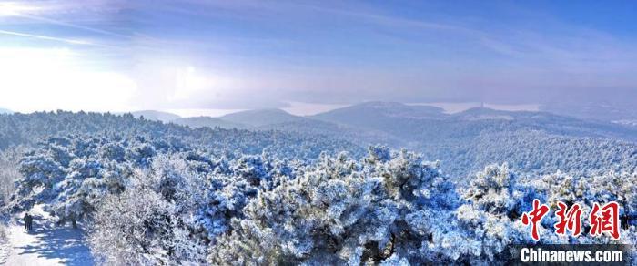 长春净月高新区森林冬景 长春净月高新区供图