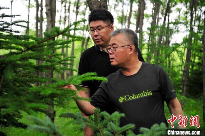 【十年@每一个奋斗的你】城市护林人：守护万顷青绿构建生态底蕴