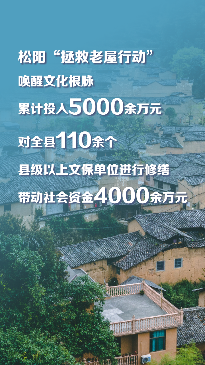 念好“生态经” 看丽水如何点绿成“金”!