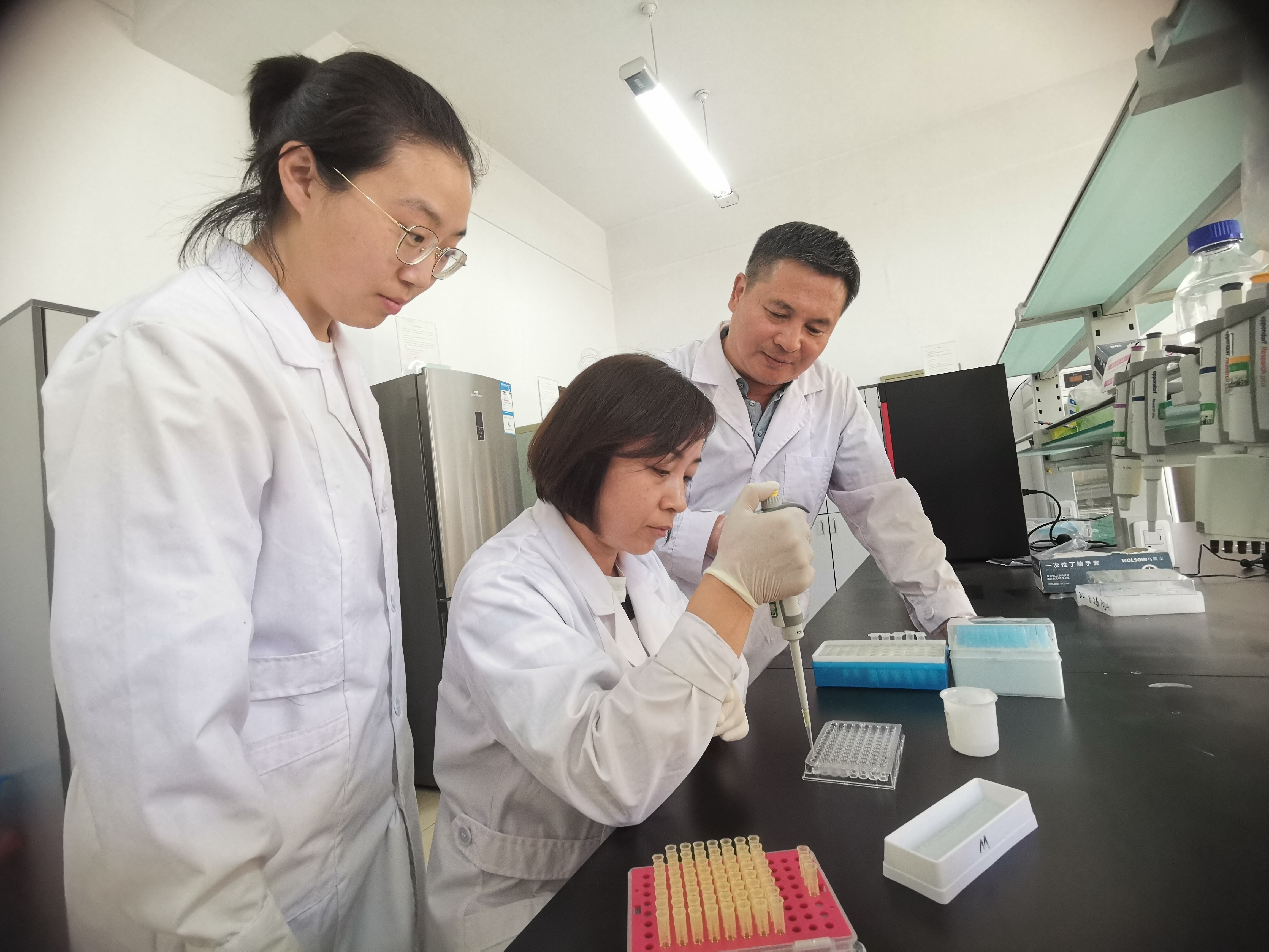 马恢(右)在指导科研人员育种实验.