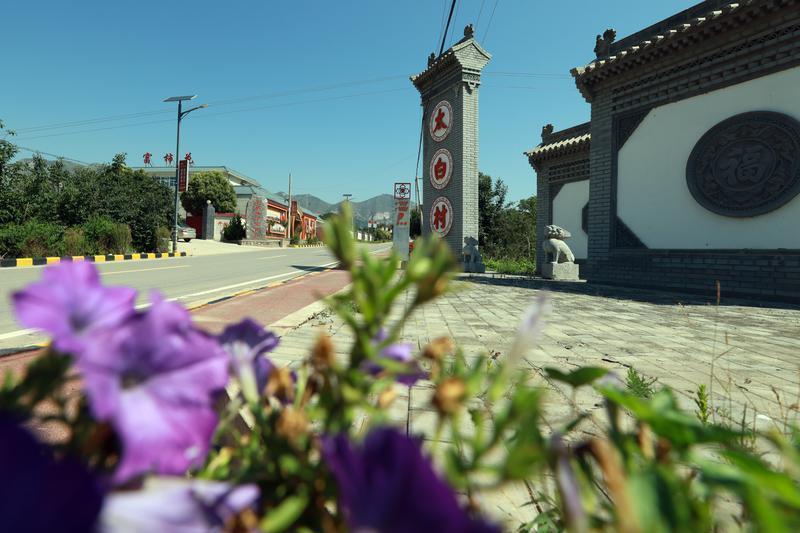 富平：金融助力！特色产业快速发展凤凰网陕西_凤凰网