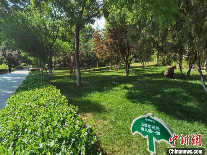 图为小西湖公园夏日景色。 杨娜 摄