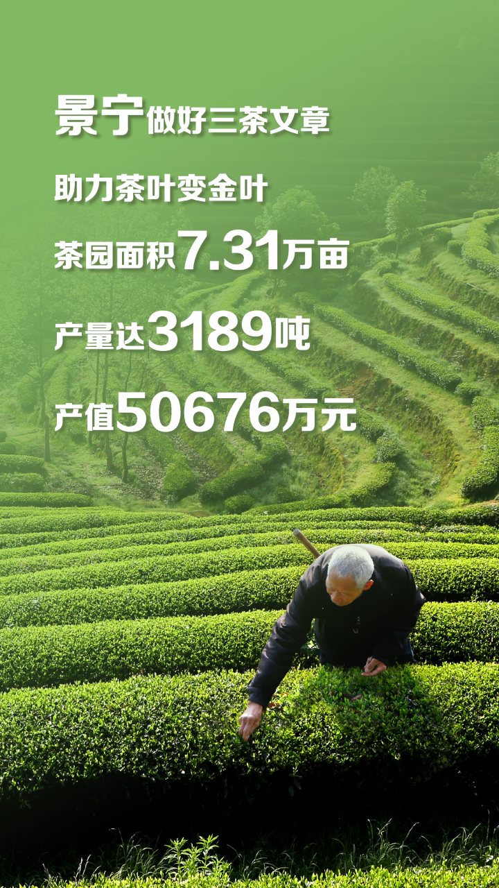 念好“生态经” 看丽水如何点绿成“金”!