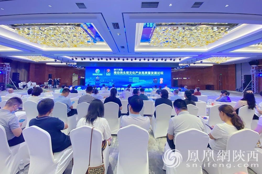 渭南澄城县：推动尧头窑文化产业高质量发展论坛举行