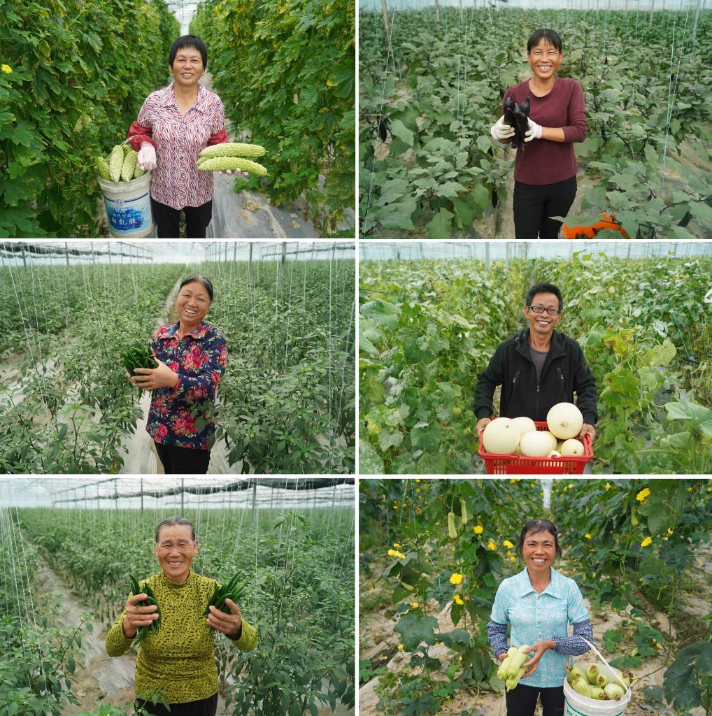 在江西省于都县梓山镇潭头村的果蔬种植基地，村民正在展示种植的蔬菜。 新华社记者 万象 摄