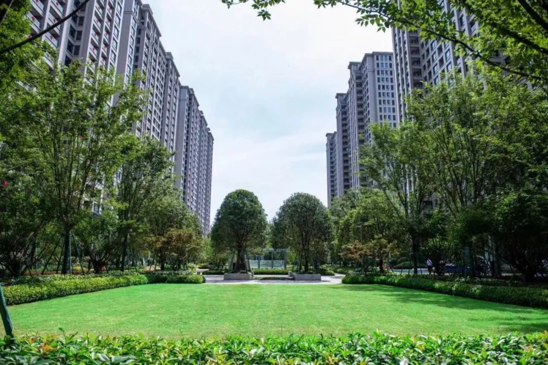 温州首例房地产领域共益债务预重整案例办结